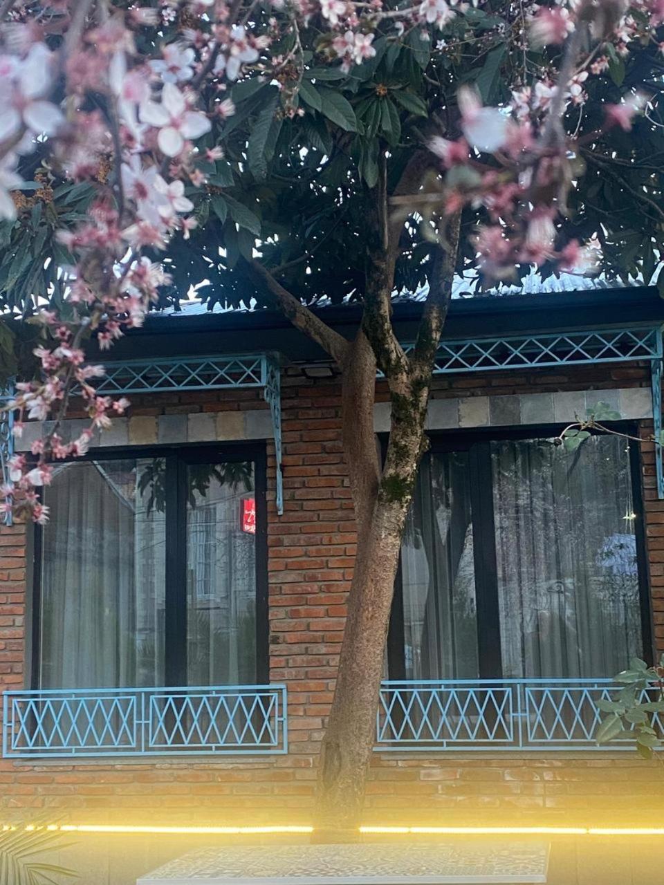 Hotel Varla クタイシ エクステリア 写真